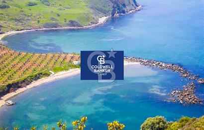 MUDANYA YEL DEĞİRMENİ KAPANCA ANTİK LİMANI YANI KAÇMAZ FIRSAT