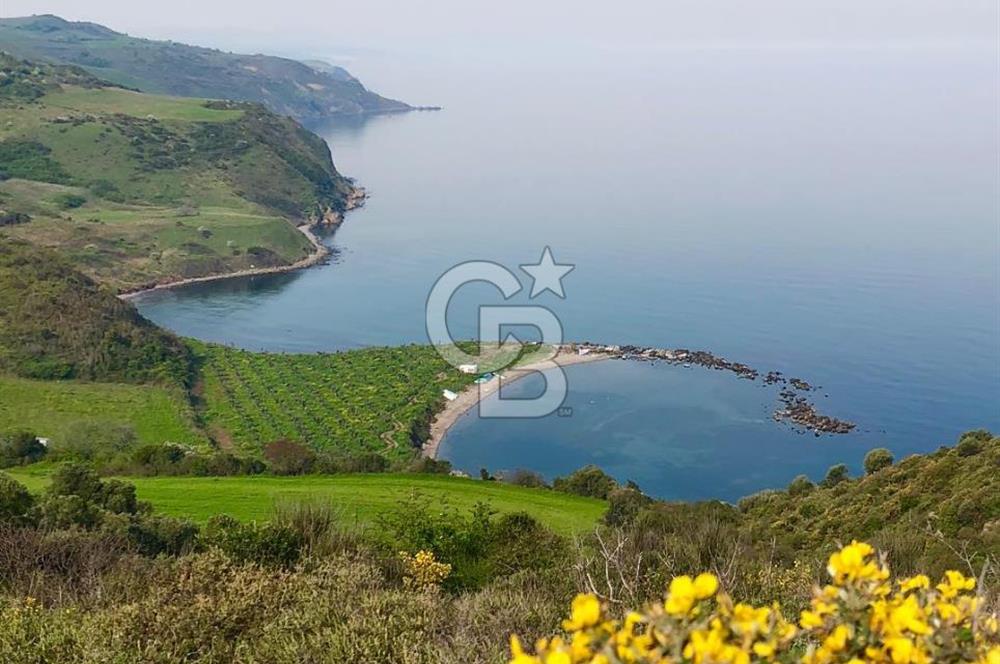 MUDANYA YEL DEĞİRMENİ KAPANCA ANTİK LİMANI YANI KAÇMAZ FIRSAT