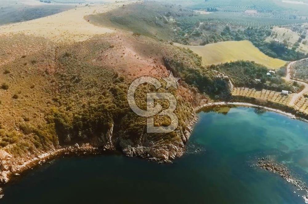 MUDANYA YEL DEĞİRMENİ KAPANCA ANTİK LİMANI YANI KAÇMAZ FIRSAT