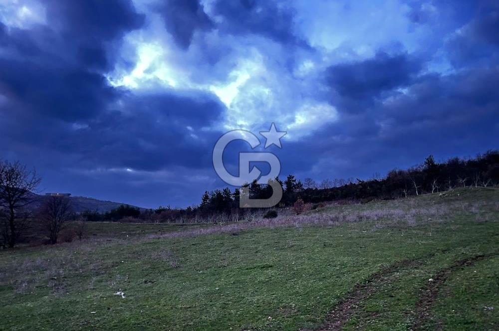 İZNİK MAHMUDİYEDE GENİŞ METRAJLI YATIRIMLIK TARLA 13.364 m²