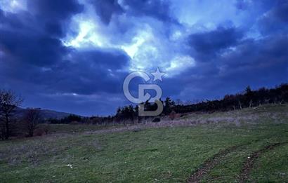 İZNİK MAHMUDİYEDE GENİŞ METRAJLI YATIRIMLIK TARLA 13.364 m²