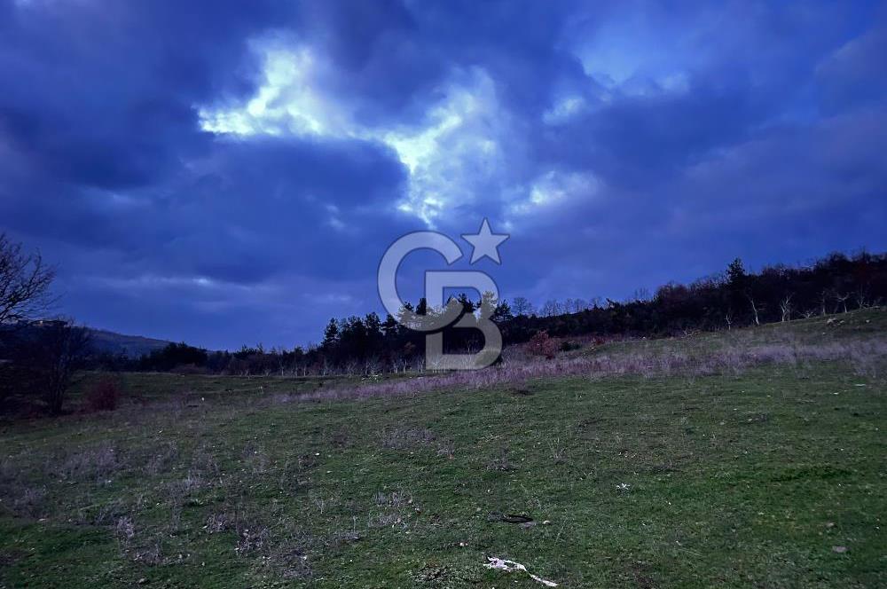 İZNİK MAHMUDİYEDE GENİŞ METRAJLI YATIRIMLIK TARLA 13.364 m²