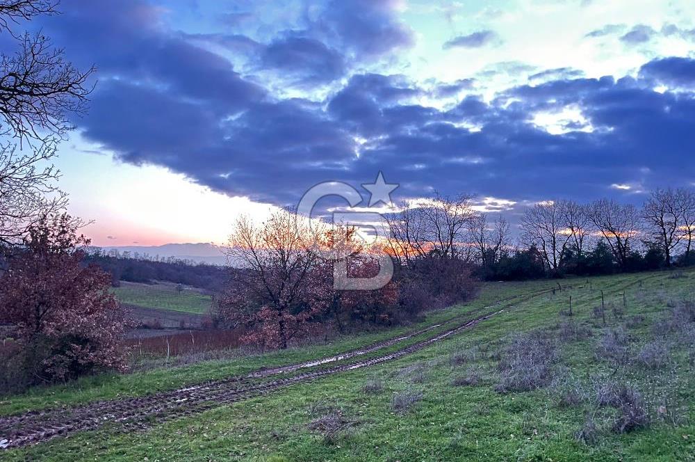 İZNİK MAHMUDİYEDE GENİŞ METRAJLI YATIRIMLIK TARLA 13.364 m²