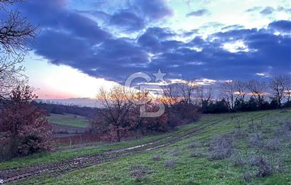 İZNİK MAHMUDİYEDE GENİŞ METRAJLI YATIRIMLIK TARLA 13.364 m²