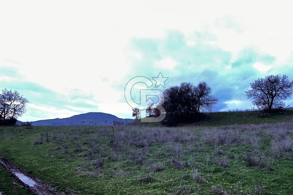 İZNİK MAHMUDİYEDE GENİŞ METRAJLI YATIRIMLIK TARLA 13.364 m²