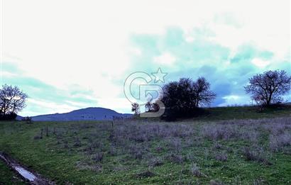 İZNİK MAHMUDİYEDE GENİŞ METRAJLI YATIRIMLIK TARLA 13.364 m²