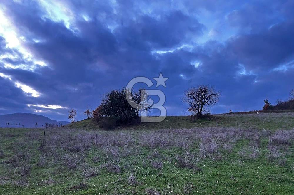 İZNİK MAHMUDİYEDE GENİŞ METRAJLI YATIRIMLIK TARLA 13.364 m²