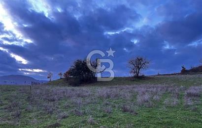 İZNİK MAHMUDİYEDE GENİŞ METRAJLI YATIRIMLIK TARLA 13.364 m²