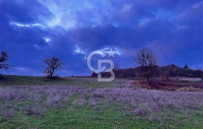 İZNİK MAHMUDİYEDE GENİŞ METRAJLI YATIRIMLIK TARLA 13.364 m²