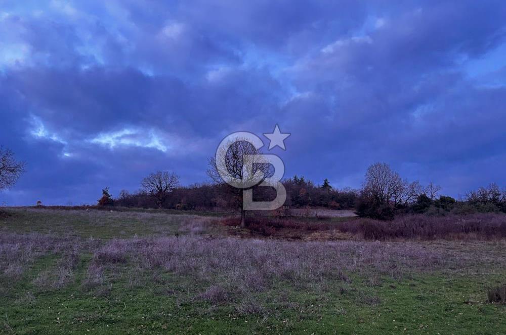 İZNİK MAHMUDİYEDE GENİŞ METRAJLI YATIRIMLIK TARLA 13.364 m²