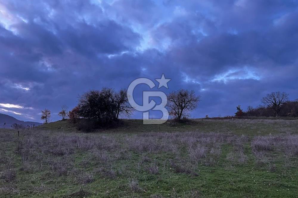 İZNİK MAHMUDİYEDE GENİŞ METRAJLI YATIRIMLIK TARLA 13.364 m²