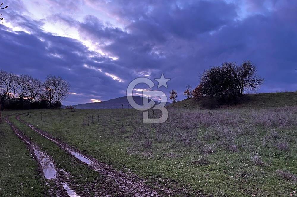 İZNİK MAHMUDİYEDE GENİŞ METRAJLI YATIRIMLIK TARLA 13.364 m²