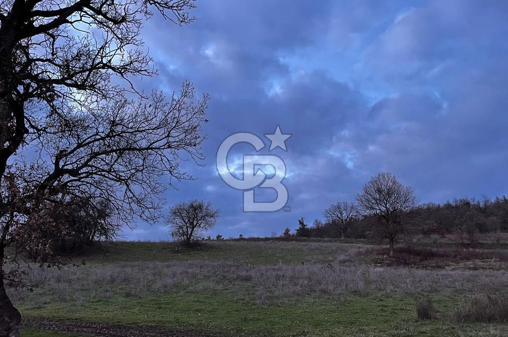 İZNİK MAHMUDİYEDE GENİŞ METRAJLI YATIRIMLIK TARLA 13.364 m²