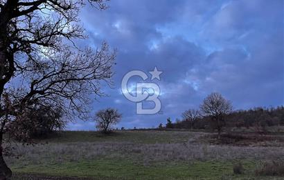 İZNİK MAHMUDİYEDE GENİŞ METRAJLI YATIRIMLIK TARLA 13.364 m²