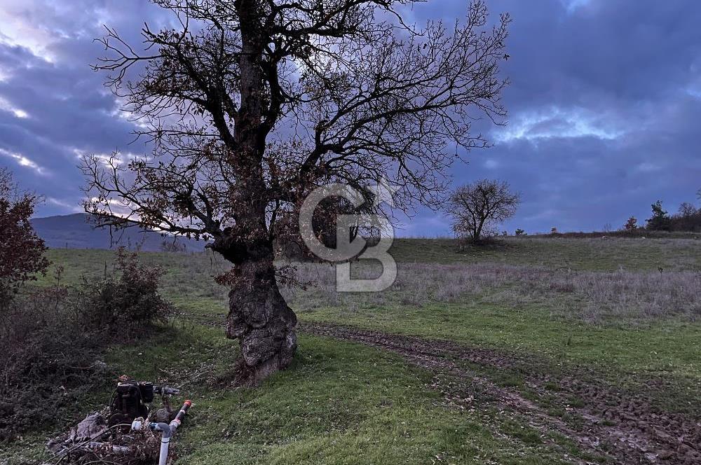 İZNİK MAHMUDİYEDE GENİŞ METRAJLI YATIRIMLIK TARLA 13.364 m²