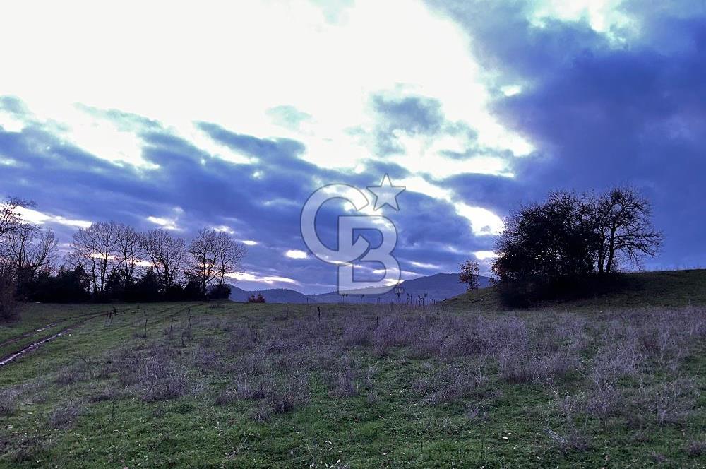 İZNİK MAHMUDİYEDE GENİŞ METRAJLI YATIRIMLIK TARLA 13.364 m²