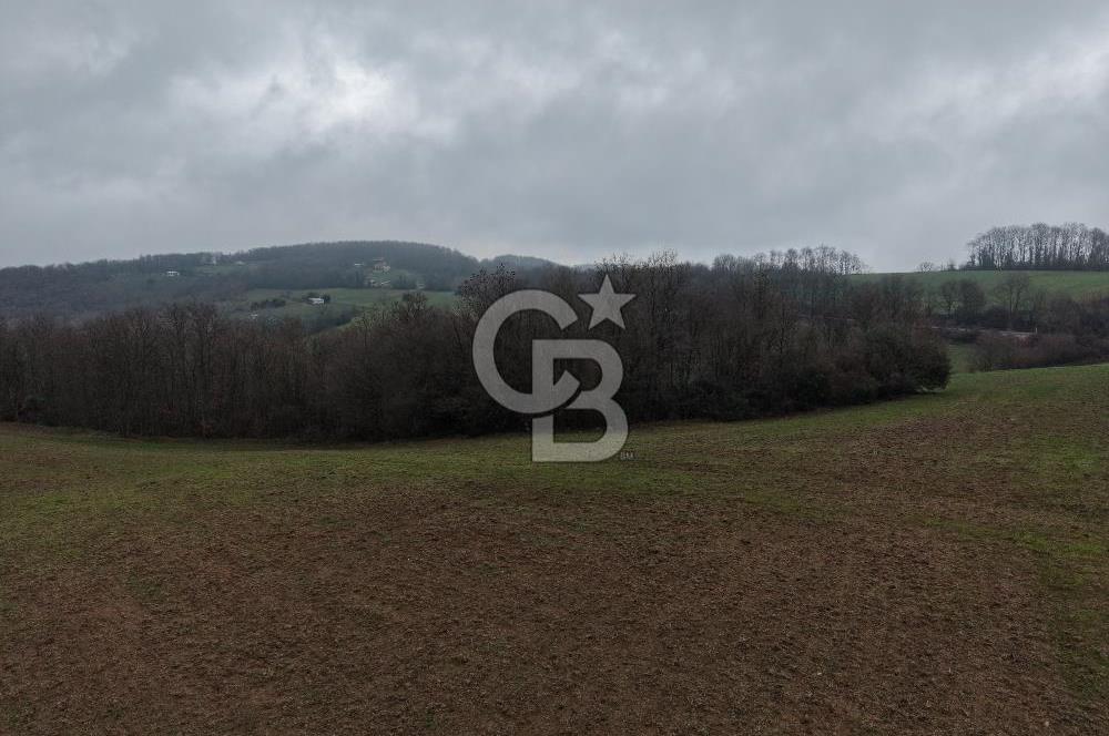 CB Envoy'dan İzmit Emirhan Köyü'nde Satılık 10500 m2 Tarla