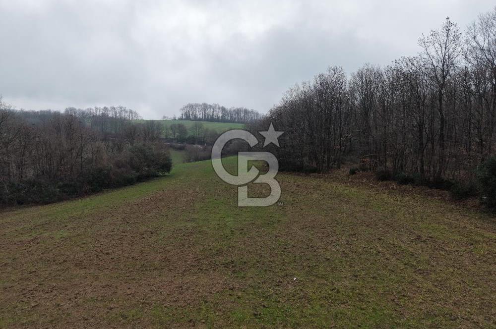 CB Envoy'dan İzmit Emirhan Köyü'nde Satılık 10500 m2 Tarla