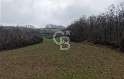 CB Envoy'dan İzmit Emirhan Köyü'nde Satılık 10500 m2 Tarla