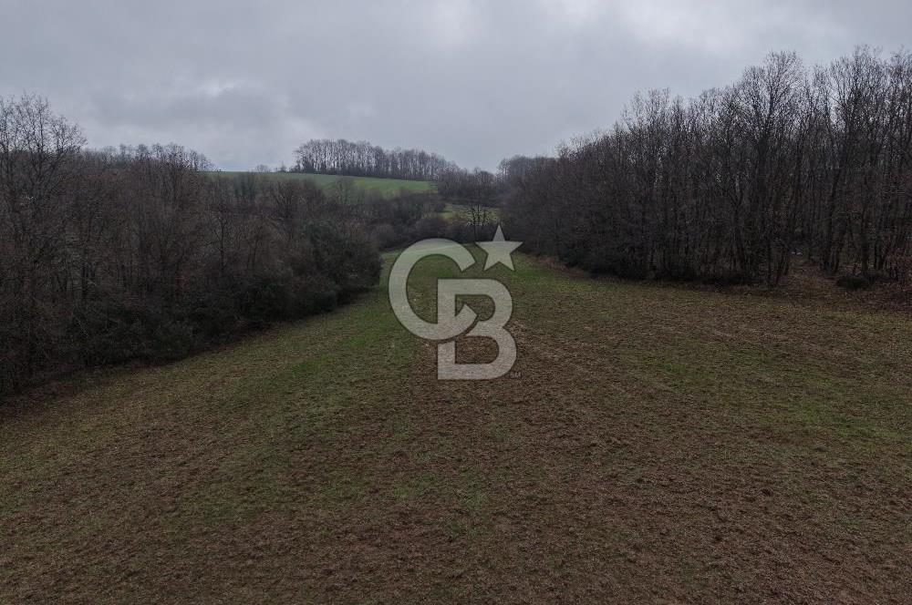 CB Envoy'dan İzmit Emirhan Köyü'nde Satılık 10500 m2 Tarla