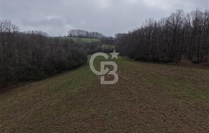 CB Envoy'dan İzmit Emirhan Köyü'nde Satılık 10500 m2 Tarla