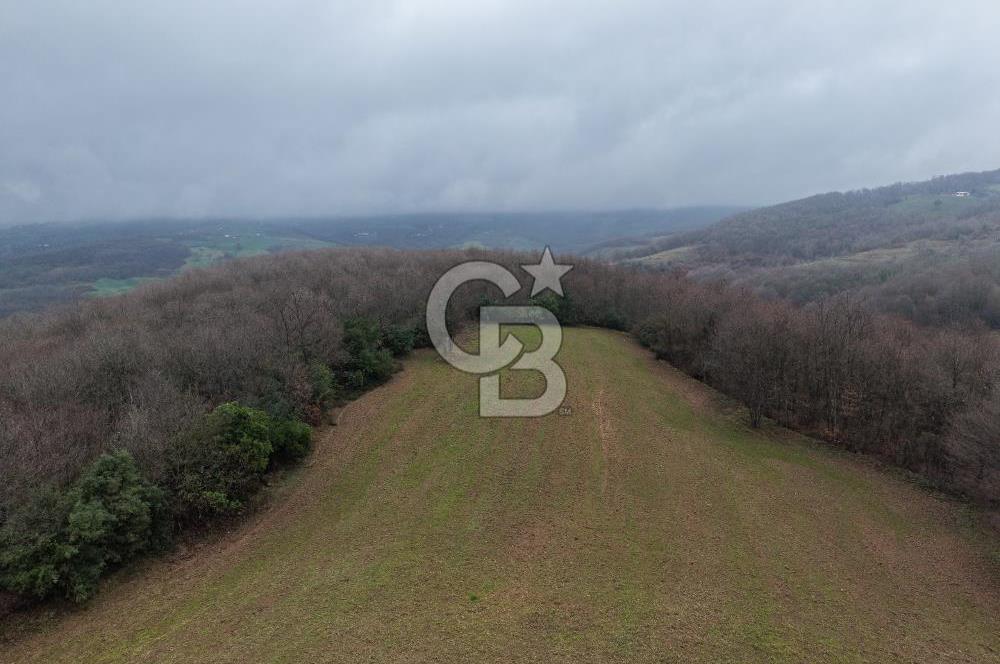 CB Envoy'dan İzmit Emirhan Köyü'nde Satılık 10500 m2 Tarla