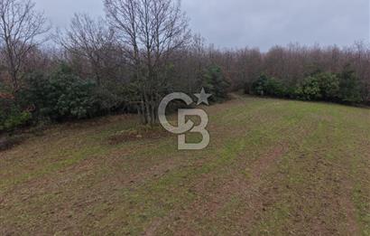 CB Envoy'dan İzmit Emirhan Köyü'nde Satılık 10500 m2 Tarla