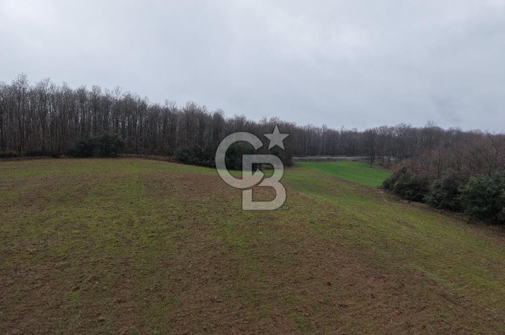 CB Envoy'dan İzmit Emirhan Köyü'nde Satılık 10500 m2 Tarla