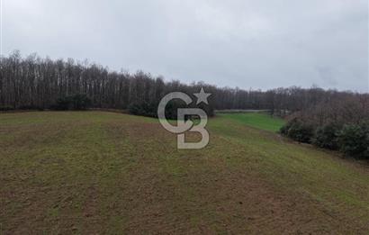 CB Envoy'dan İzmit Emirhan Köyü'nde Satılık 10500 m2 Tarla