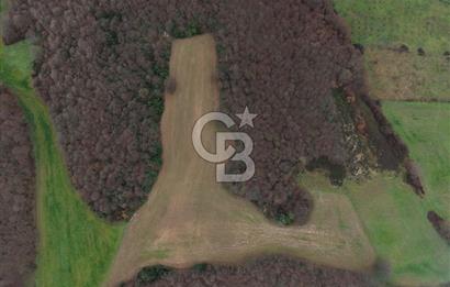 CB Envoy'dan İzmit Emirhan Köyü'nde Satılık 10500 m2 Tarla