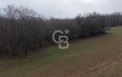 CB Envoy'dan İzmit Emirhan Köyü'nde Satılık 10500 m2 Tarla