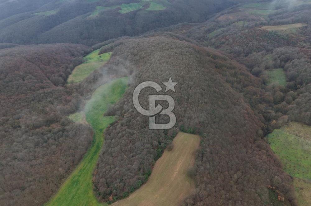 CB Envoy'dan İzmit Emirhan Köyü'nde Satılık 10500 m2 Tarla