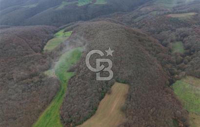 CB Envoy'dan İzmit Emirhan Köyü'nde Satılık 10500 m2 Tarla