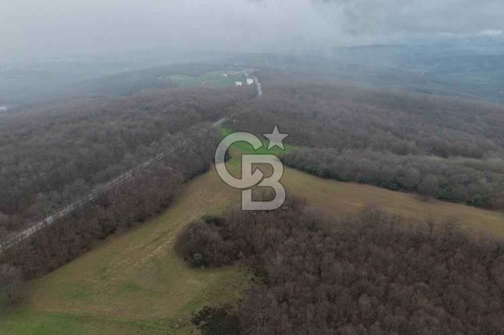 CB Envoy'dan İzmit Emirhan Köyü'nde Satılık 10500 m2 Tarla