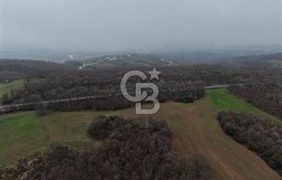 CB Envoy'dan İzmit Emirhan Köyü'nde Satılık 10500 m2 Tarla