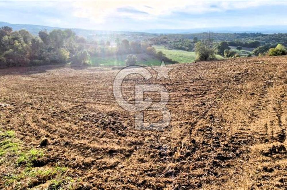 Biga Akpınar Köyü’nde Resmi Yol Cepheli, Gölet Yakınında Yatırımlık Tarla