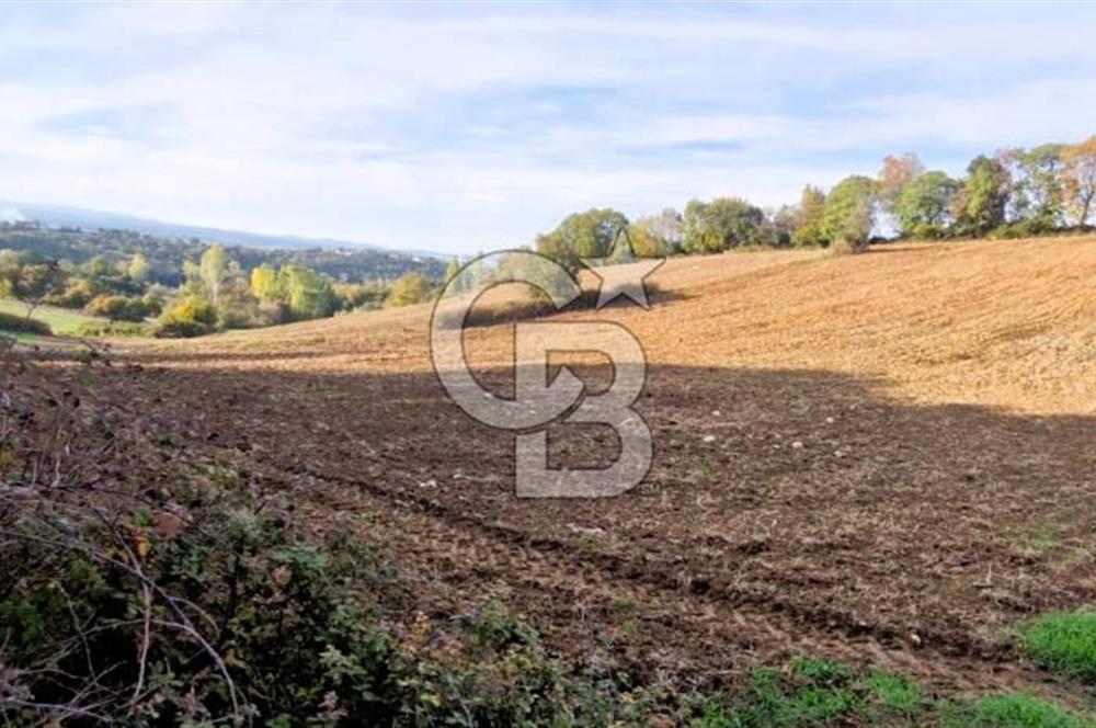Biga Akpınar Köyü’nde Resmi Yol Cepheli, Gölet Yakınında Yatırımlık Tarla