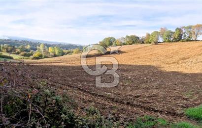 Biga Akpınar Köyü’nde Resmi Yol Cepheli, Gölet Yakınında Yatırımlık Tarla