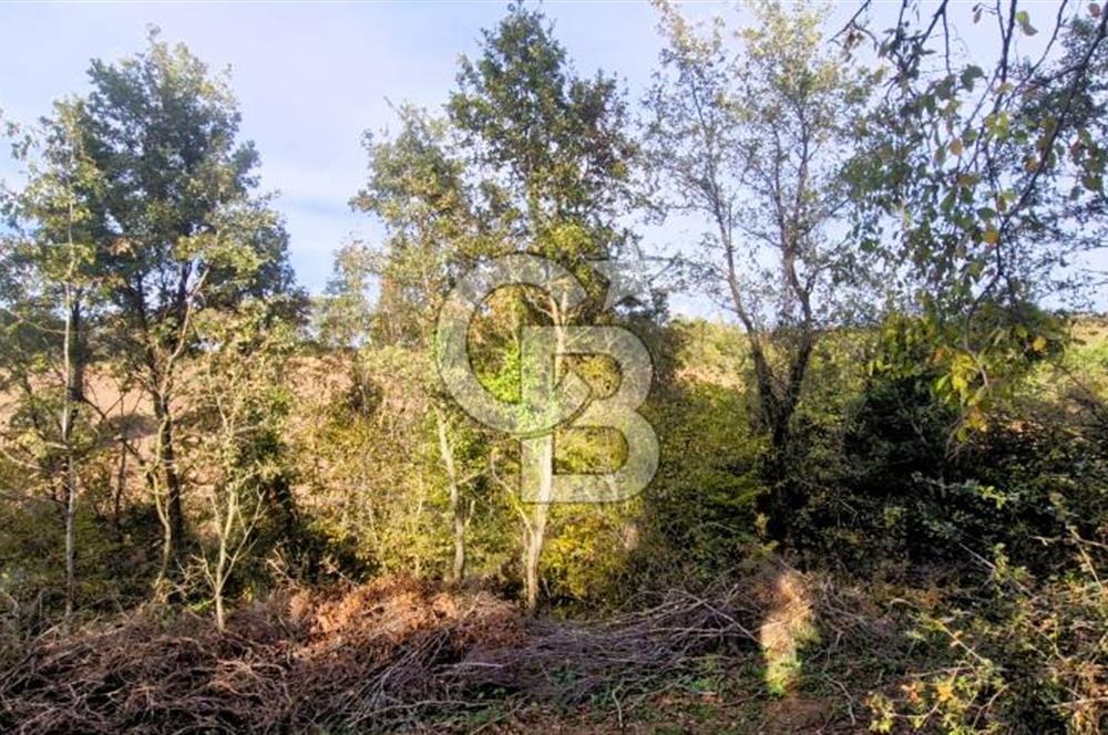 Biga Akpınar Köyü’nde Resmi Yol Cepheli, Gölet Yakınında Yatırımlık Tarla