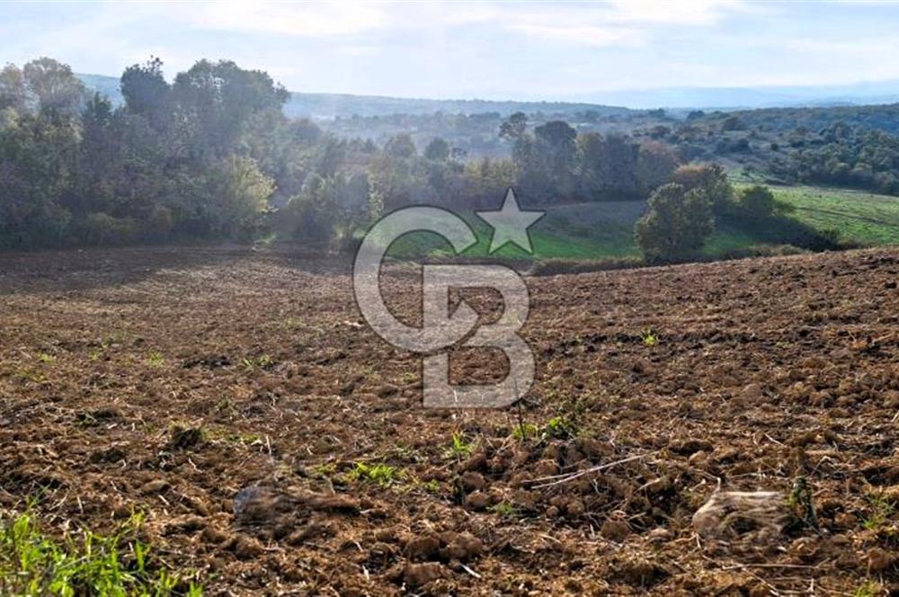 Biga Akpınar Köyü’nde Resmi Yol Cepheli, Gölet Yakınında Yatırımlık Tarla