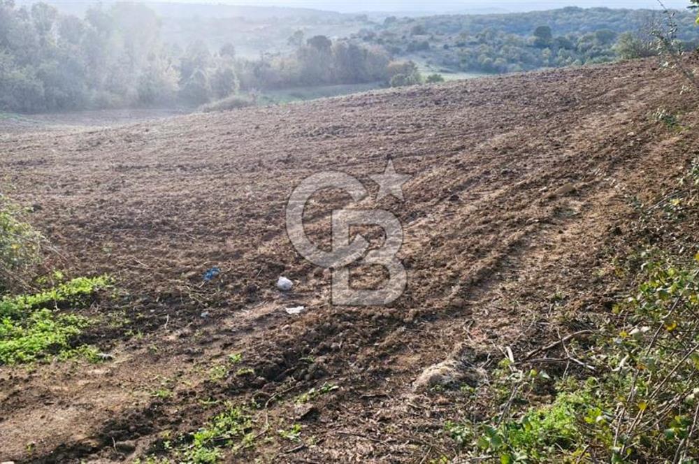 Biga Akpınar Köyü’nde Resmi Yol Cepheli, Gölet Yakınında Yatırımlık Tarla