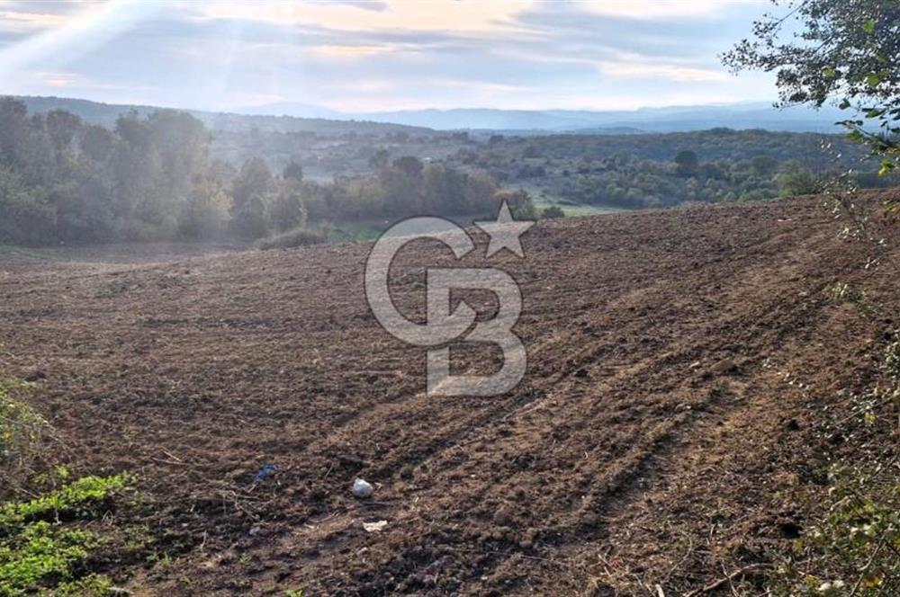 Biga Akpınar Köyü’nde Resmi Yol Cepheli, Gölet Yakınında Yatırımlık Tarla