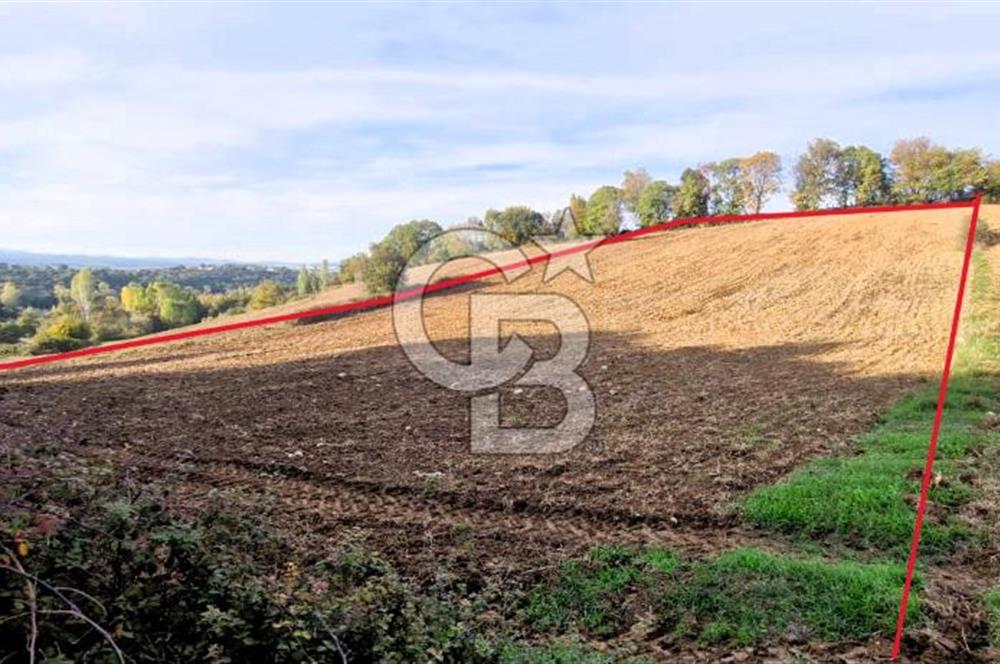 Biga Akpınar Köyü’nde Resmi Yol Cepheli, Gölet Yakınında Yatırımlık Tarla