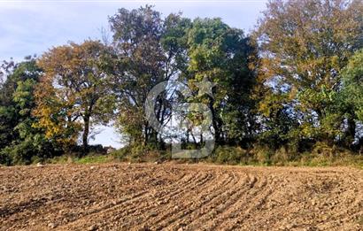 Biga Akpınar Köyü’nde Resmi Yol Cepheli, Gölet Yakınında Yatırımlık Tarla