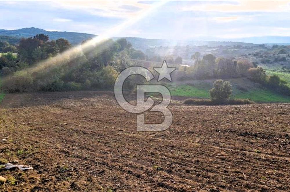 Biga Akpınar Köyü’nde Resmi Yol Cepheli, Gölet Yakınında Yatırımlık Tarla