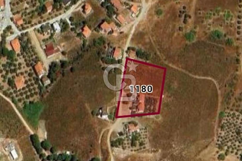 AVŞA ADASI KARAGÖZ DERE MEVKİİ’NDE 386,77 m² HİSSE SATILIK
