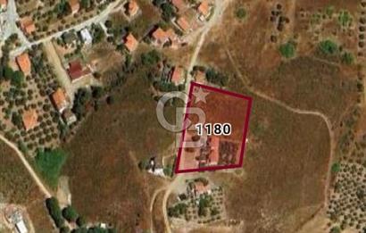 AVŞA ADASI KARAGÖZ DERE MEVKİİ’NDE 386,77 m² HİSSE SATILIK