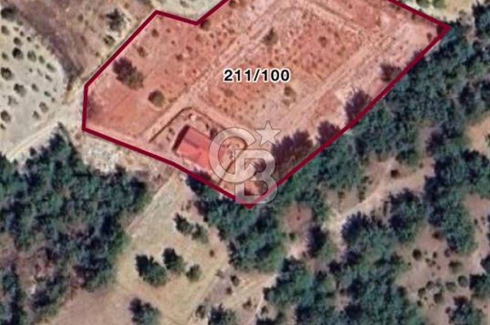 MUSELAND- Damlacık'ta 6521 m² Satılık Tarla - Müstakil Tapulu