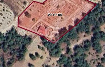 MUSELAND- Damlacık'ta 6521 m² Satılık Tarla - Müstakil Tapulu