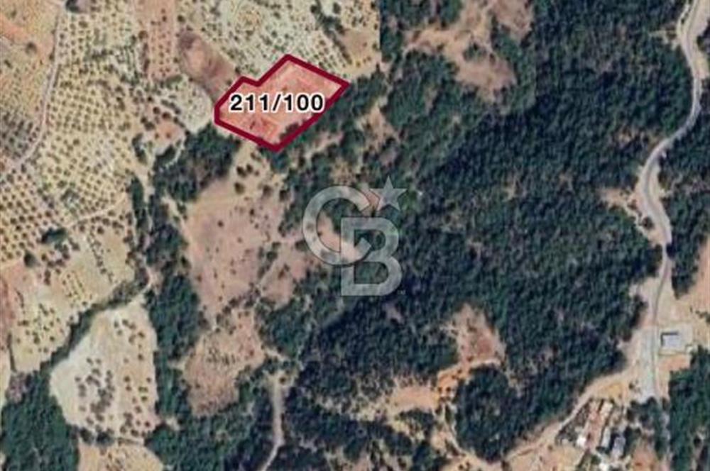 MUSELAND- Damlacık'ta 6521 m² Satılık Tarla - Müstakil Tapulu